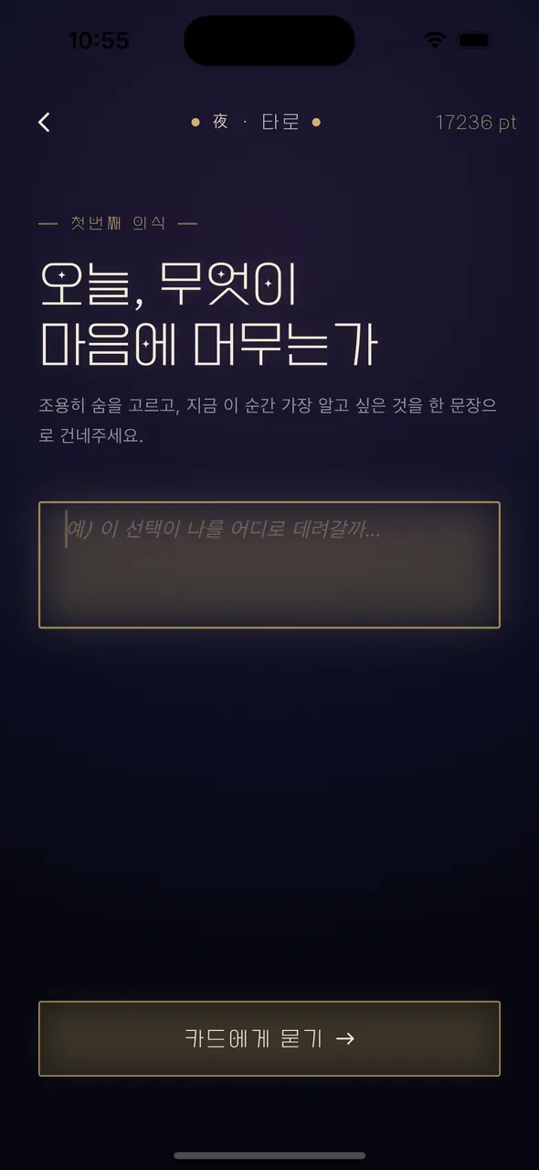 타로 질문 입력 화면